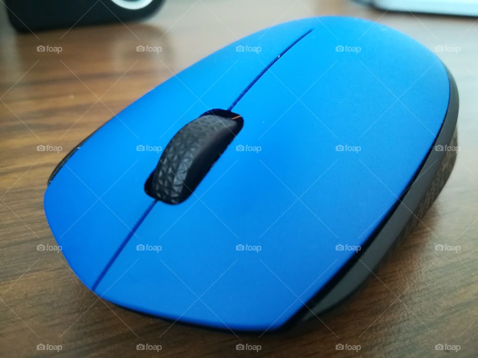 blue mouse