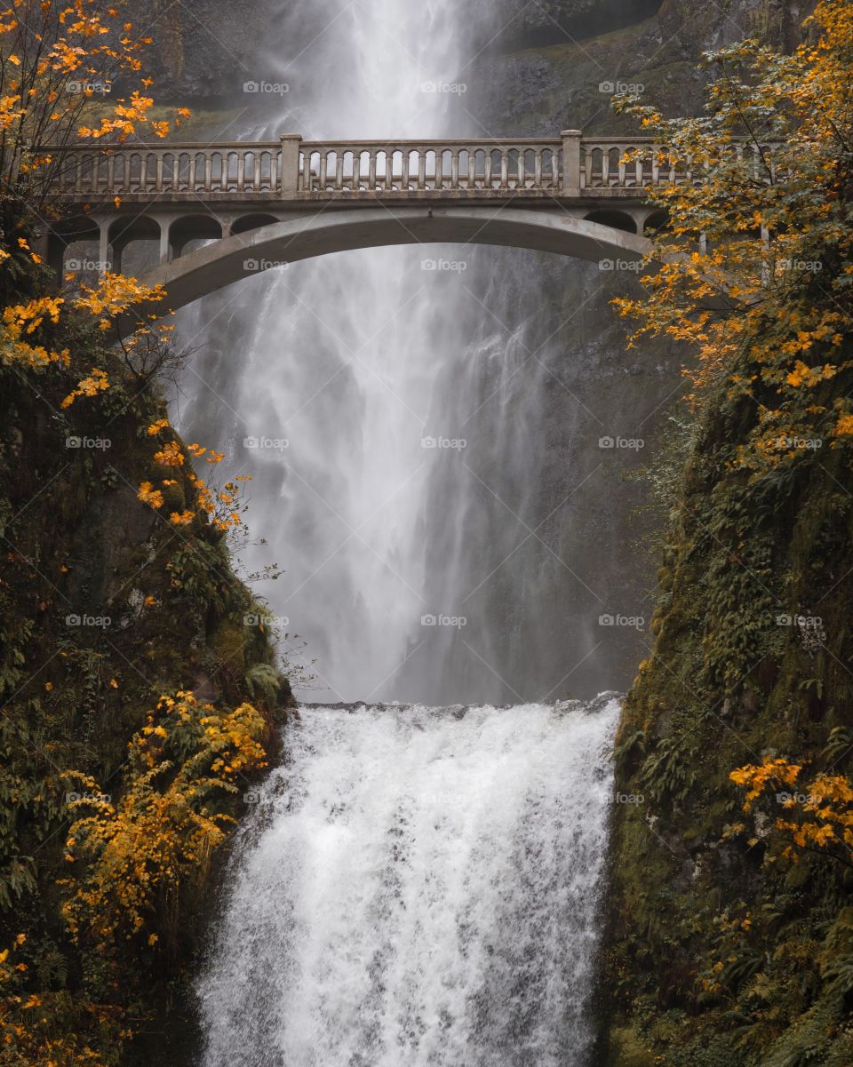 Autumn at Multnomah Falls 