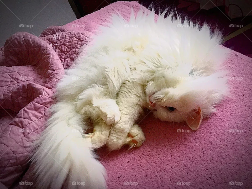 Resting