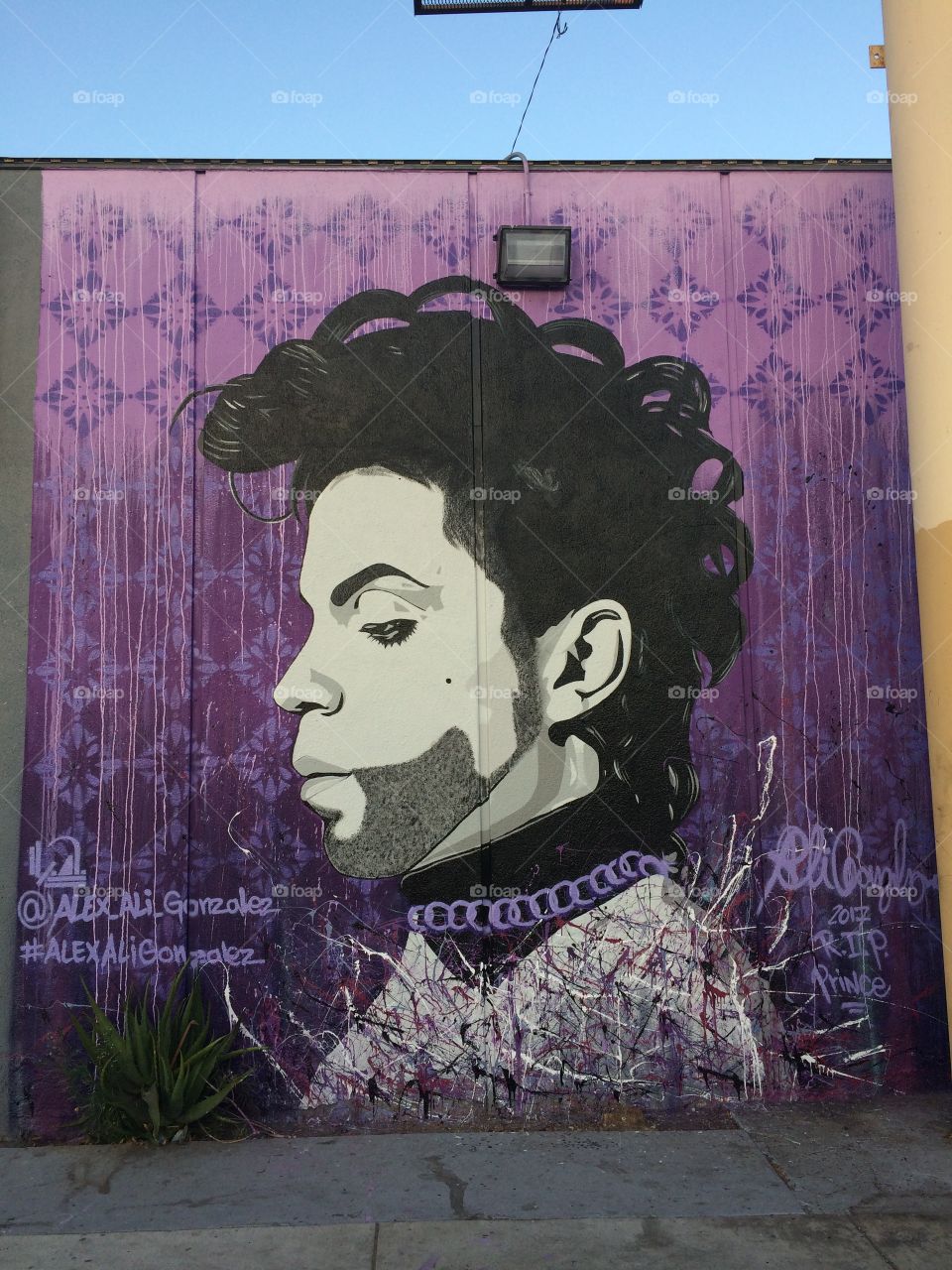 Prince wall