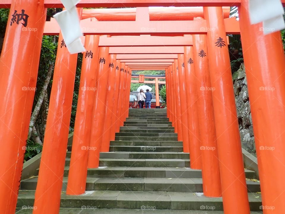 Red Torii gates