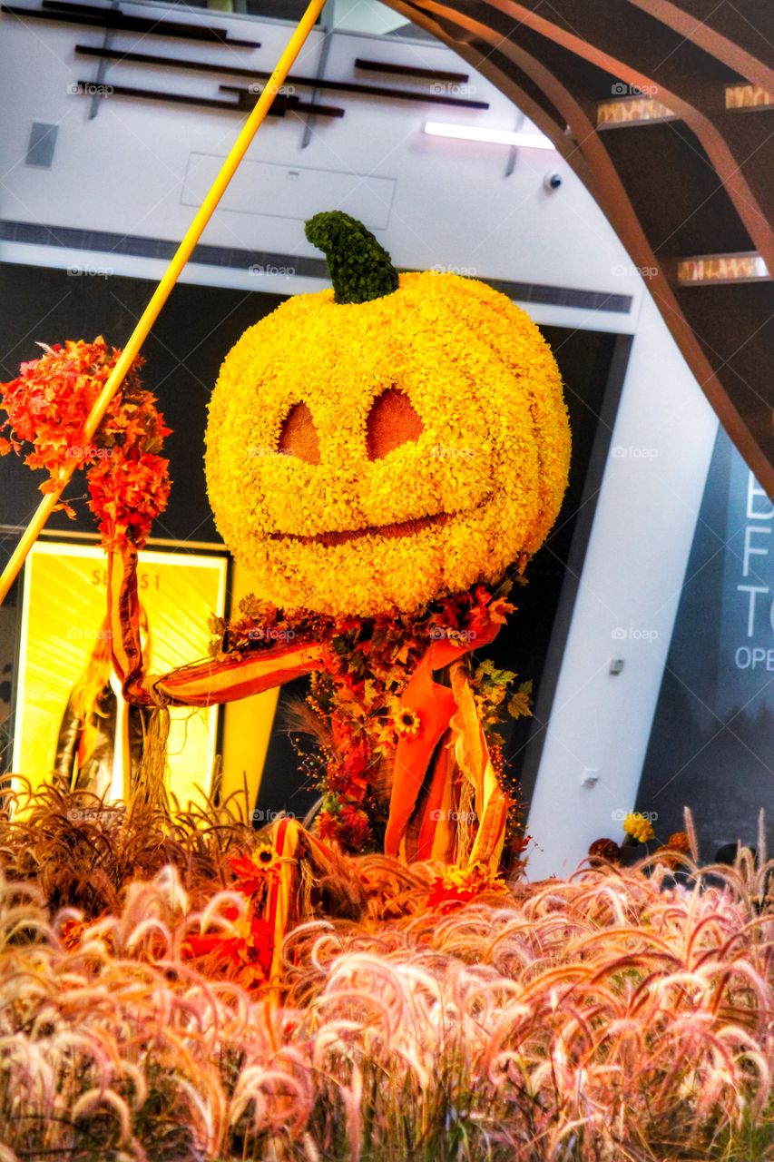 Pumpkin scared crow at the Aria Hotel Las Vegas. 