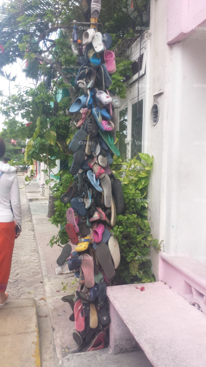Shoe Tree
