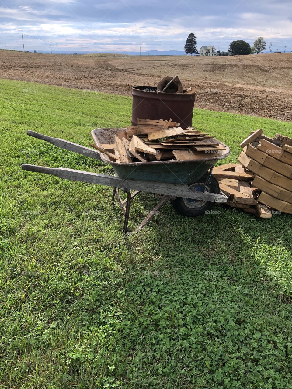 Old wheelbarrow and wood 