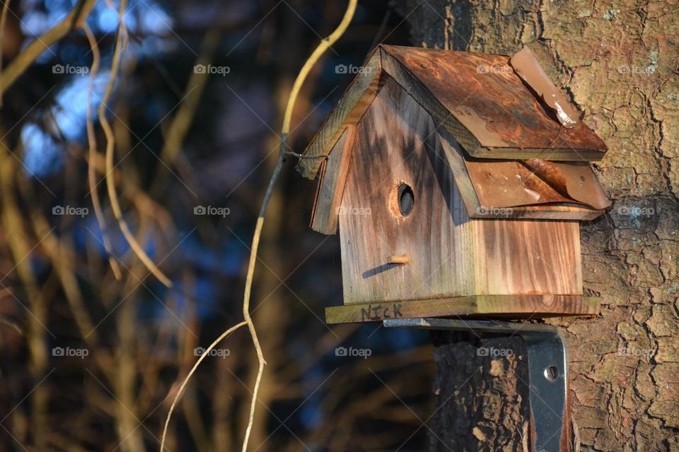 Bird House
