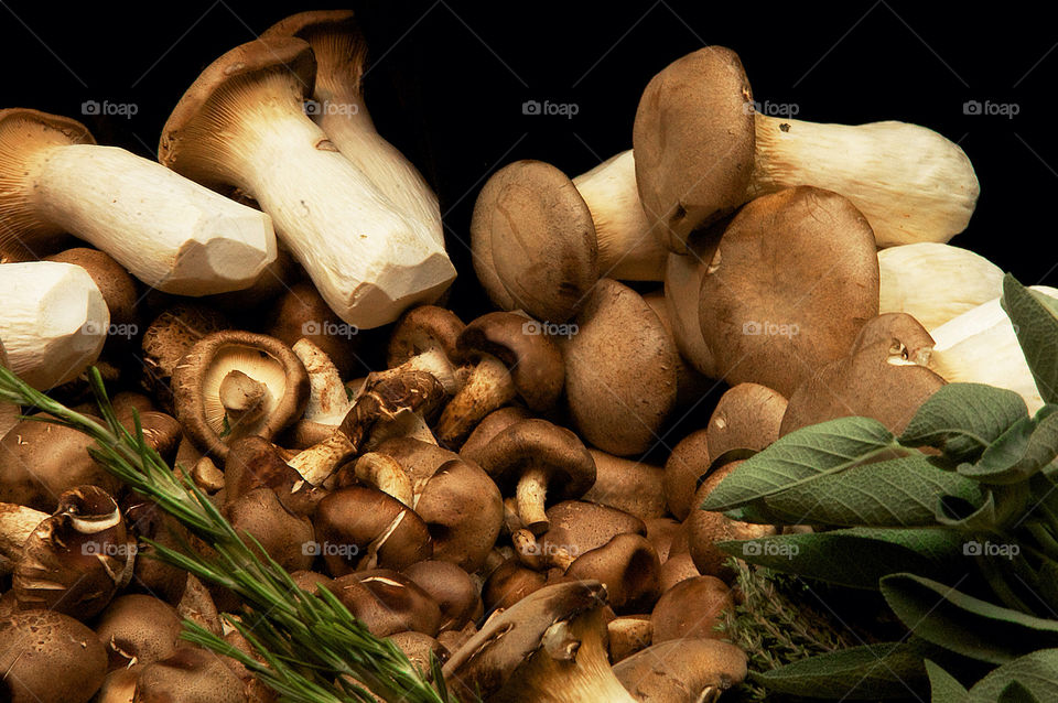 nature macro mushrooms market by resnikoffdavid