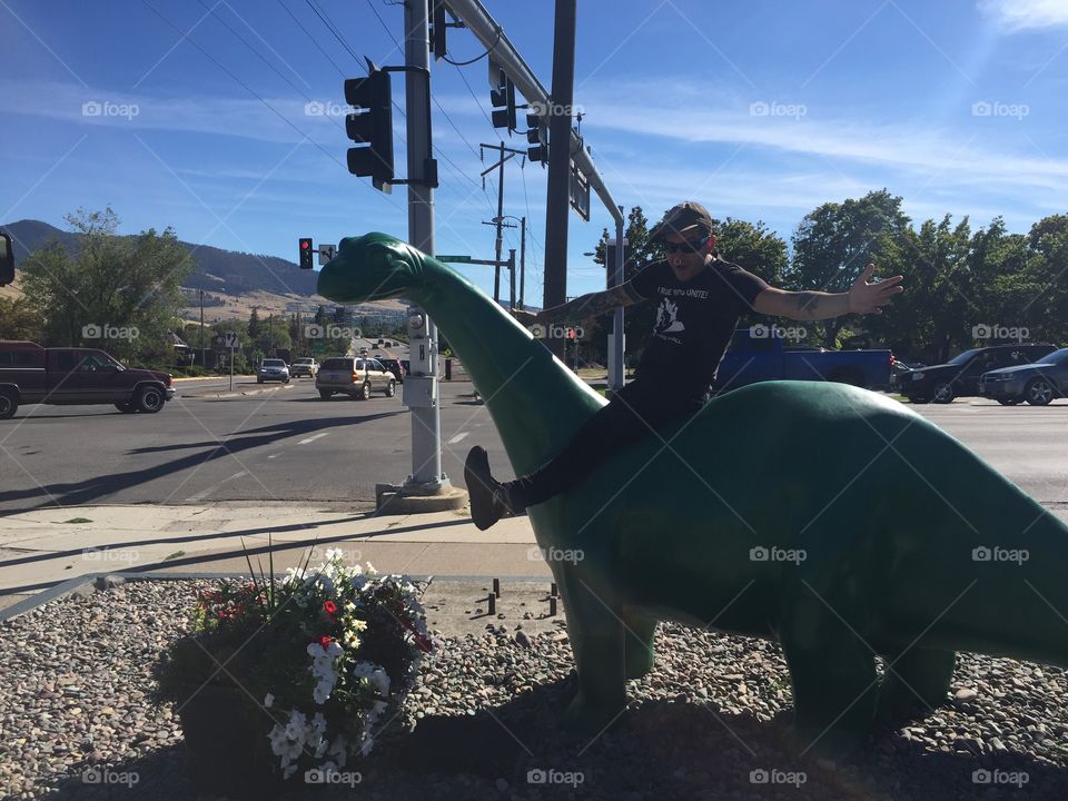 People, Vehicle, Action, No Person, Transportation System