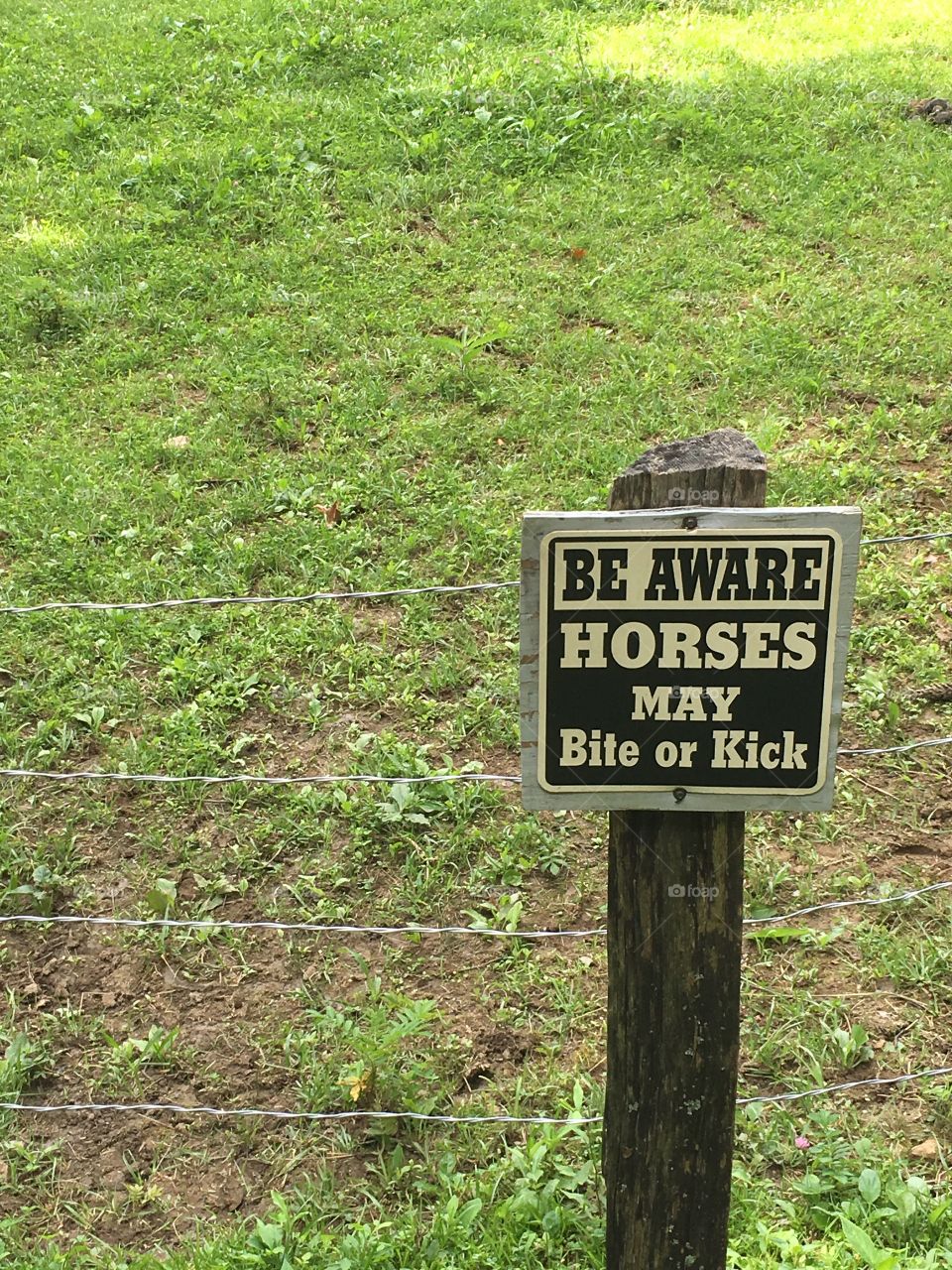 Sometimes horses are cranky! Keep on biking Tennessee!