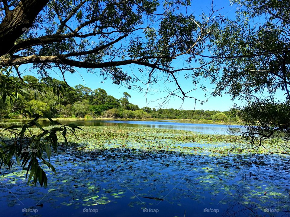 Lakeside views