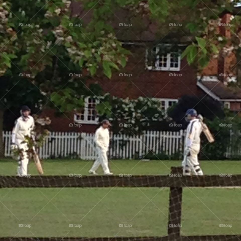 Cricket on the green 