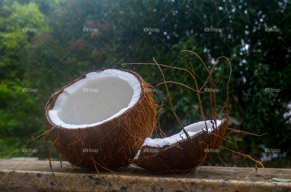 brazilian fruits: coconut