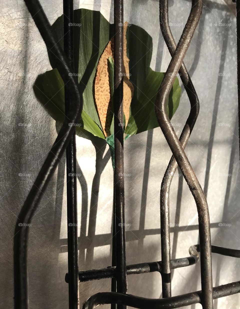 There is no waste in this world. Look around yourself! Making a craft is fun. My craft 😊