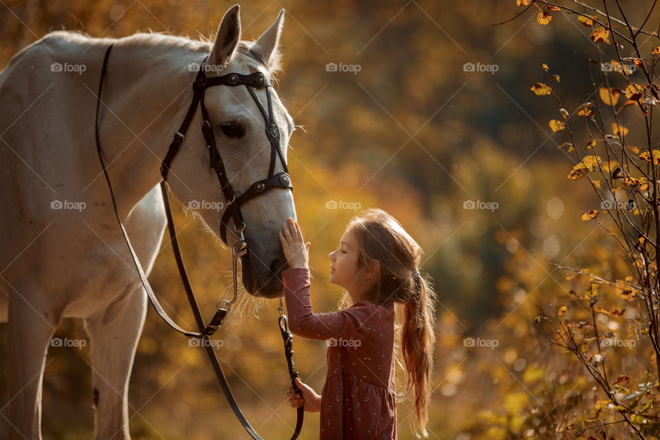 Little girl with grey horse in an autumn park 