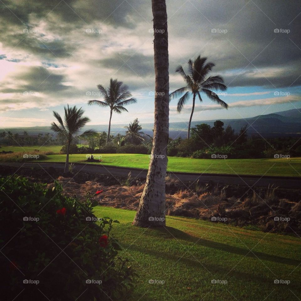The View of Golf Course from Our Villa