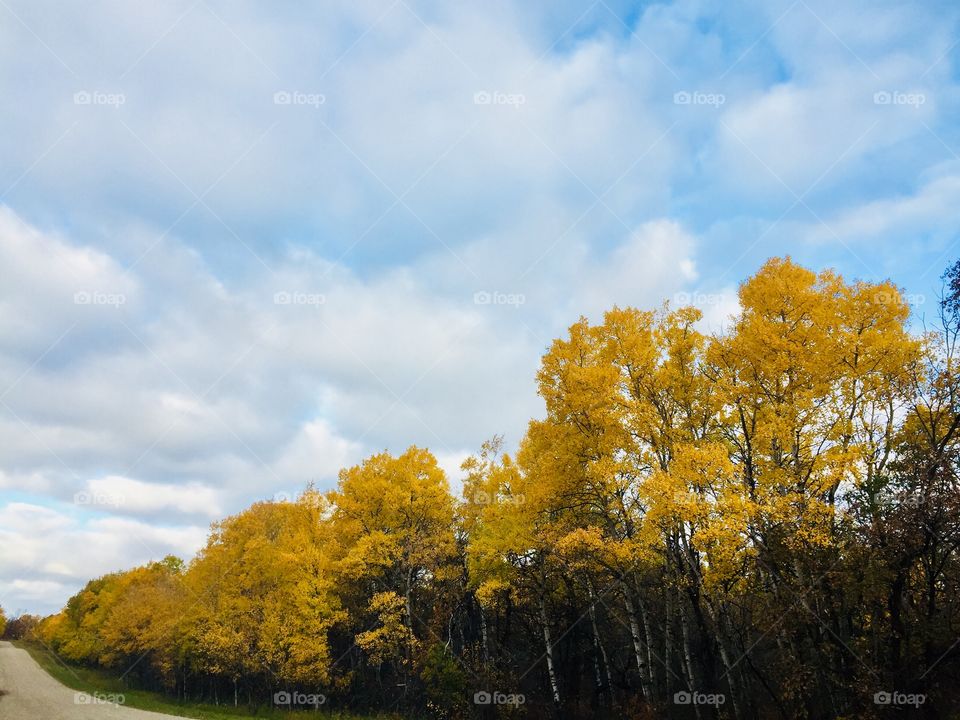 Fall in Brandon Manitoba hills 