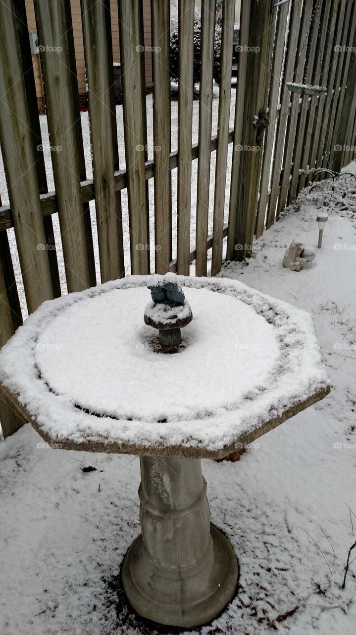 Frozen Birdbath
