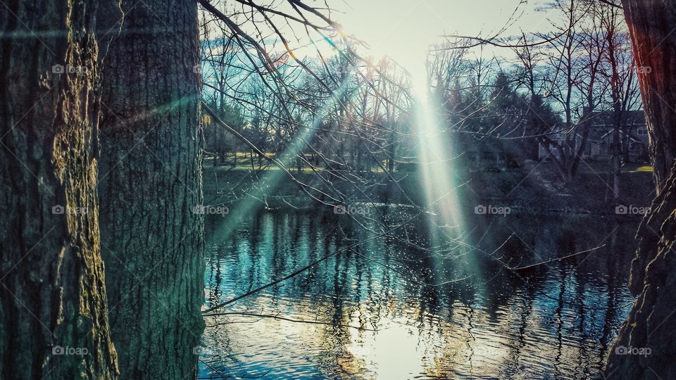 Sun rays reflected in water