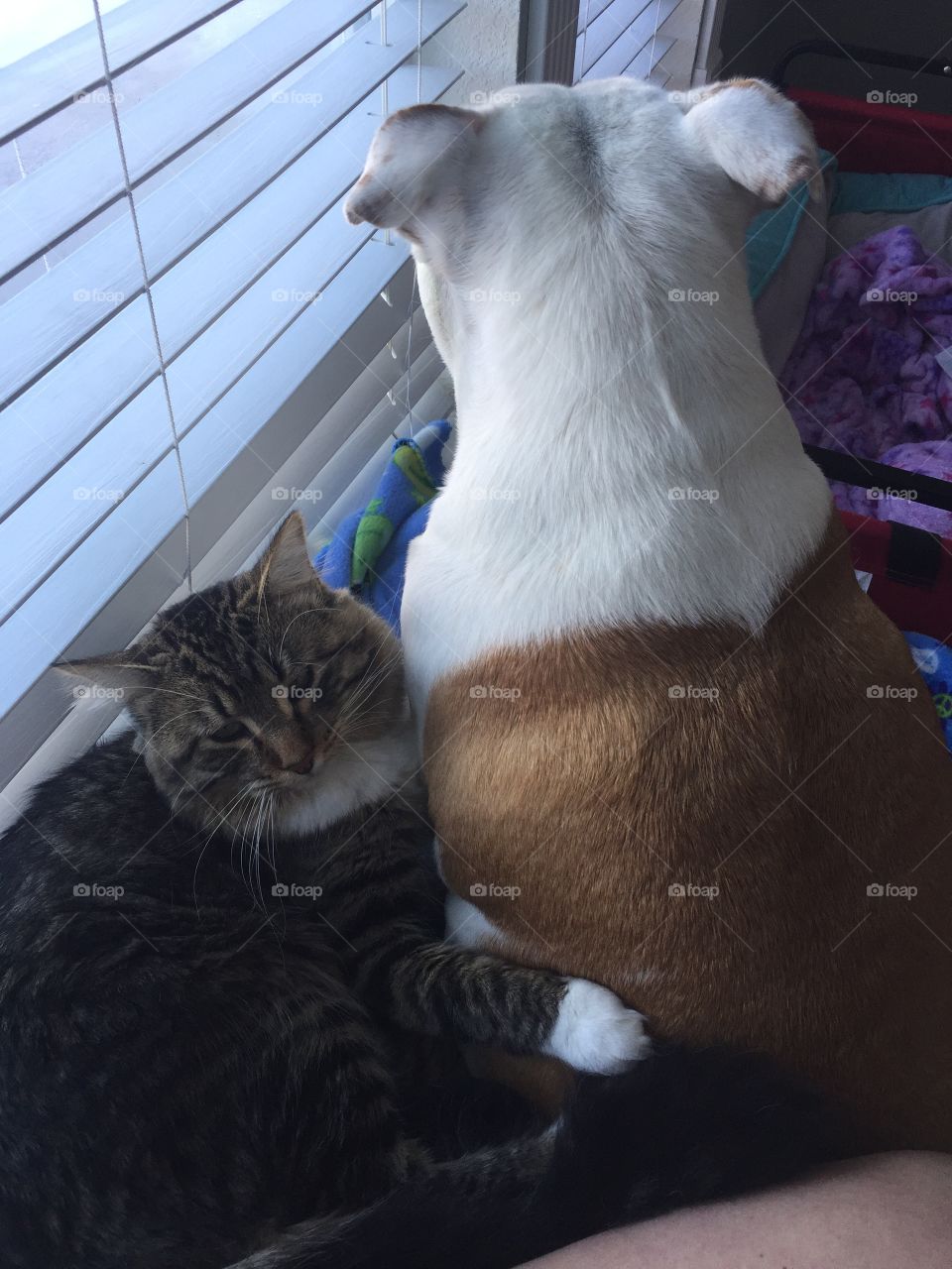 Now I'll watch while you sleep