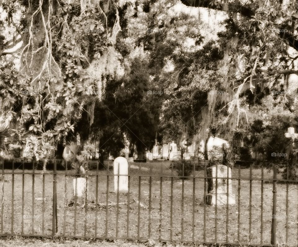 graveyard