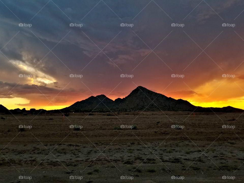 Desert Sunsets