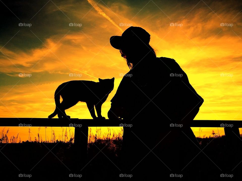 silhouette of a cat and a girl during golden hour 