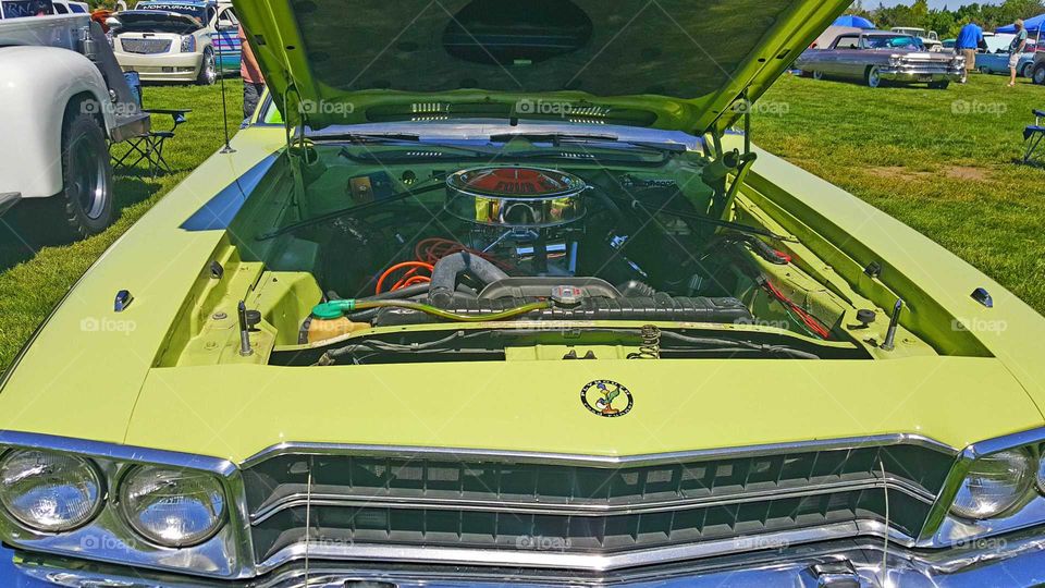 BIGGEST LITTLE CITY IN THE WORLD