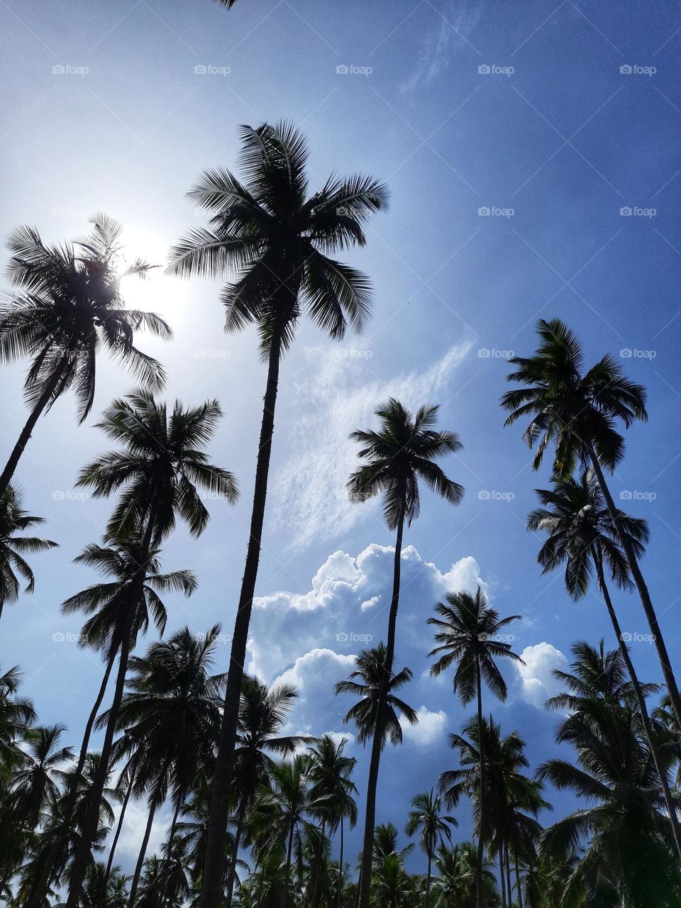a beautiful thick layer of clouds in the daytime sky in Sri Lanka
