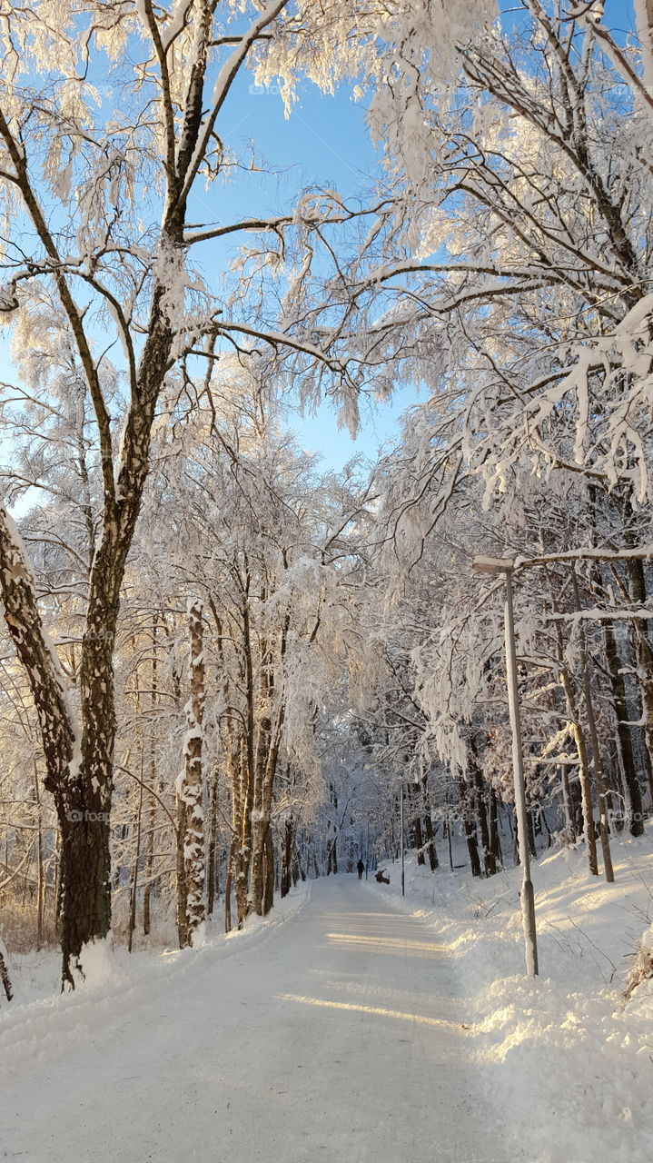Winter - path in the forest  - lots of snow - vinter snö skog