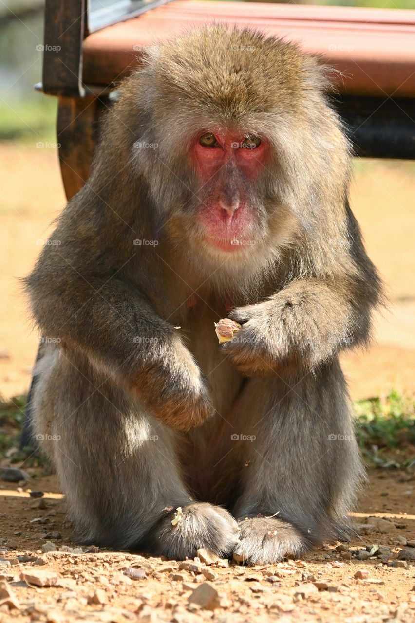 how are you Foap..I am fine.