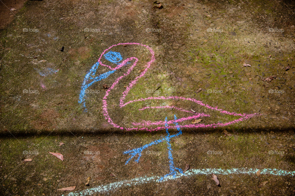 bird drawn with street chalk for kids
