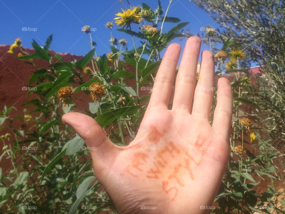 henna is a known Herb in morocco, it is used alot by women in rvery ceremony.