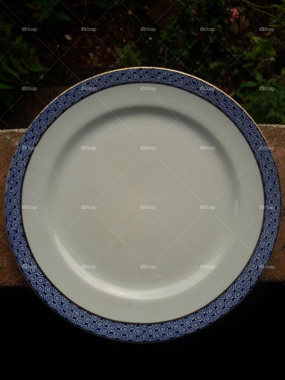 bone China plate rustic round rim pattern design