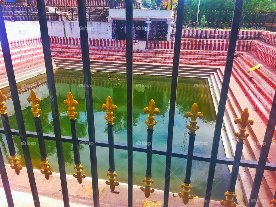 water in cage. water in cage