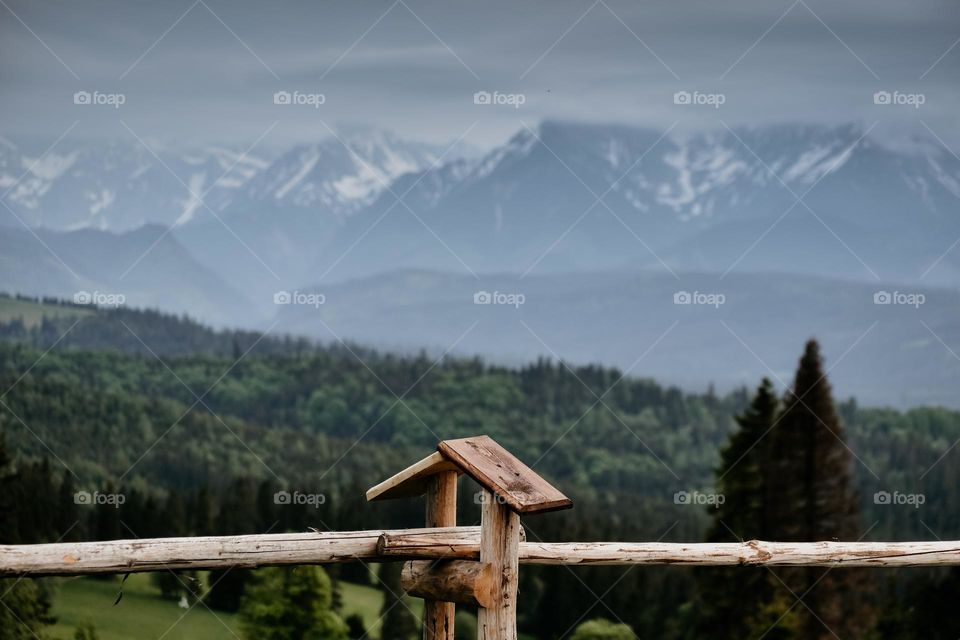 Polish mountains and fog