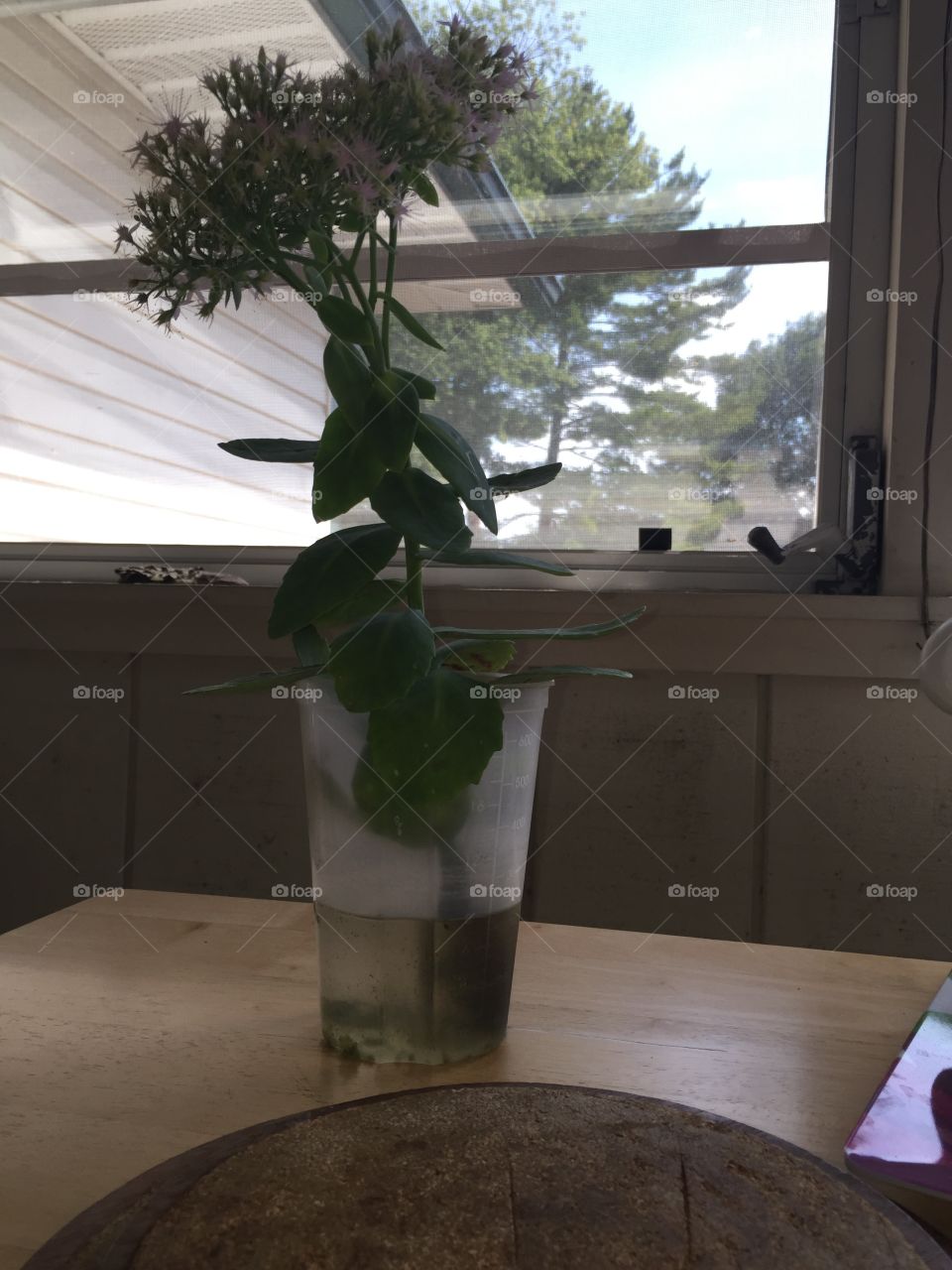 No Person, House, Indoors, Furniture, Room