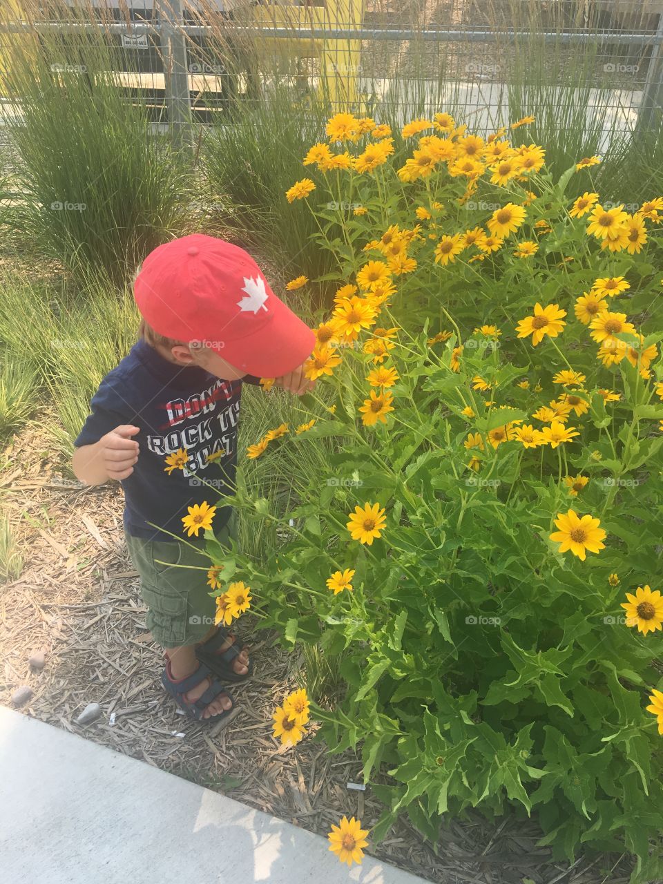 Stopping to smell the flowers 