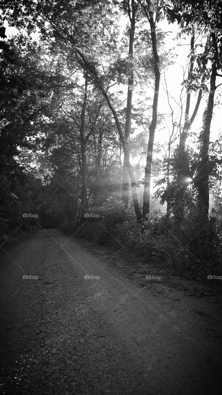 Of Shadows and Light