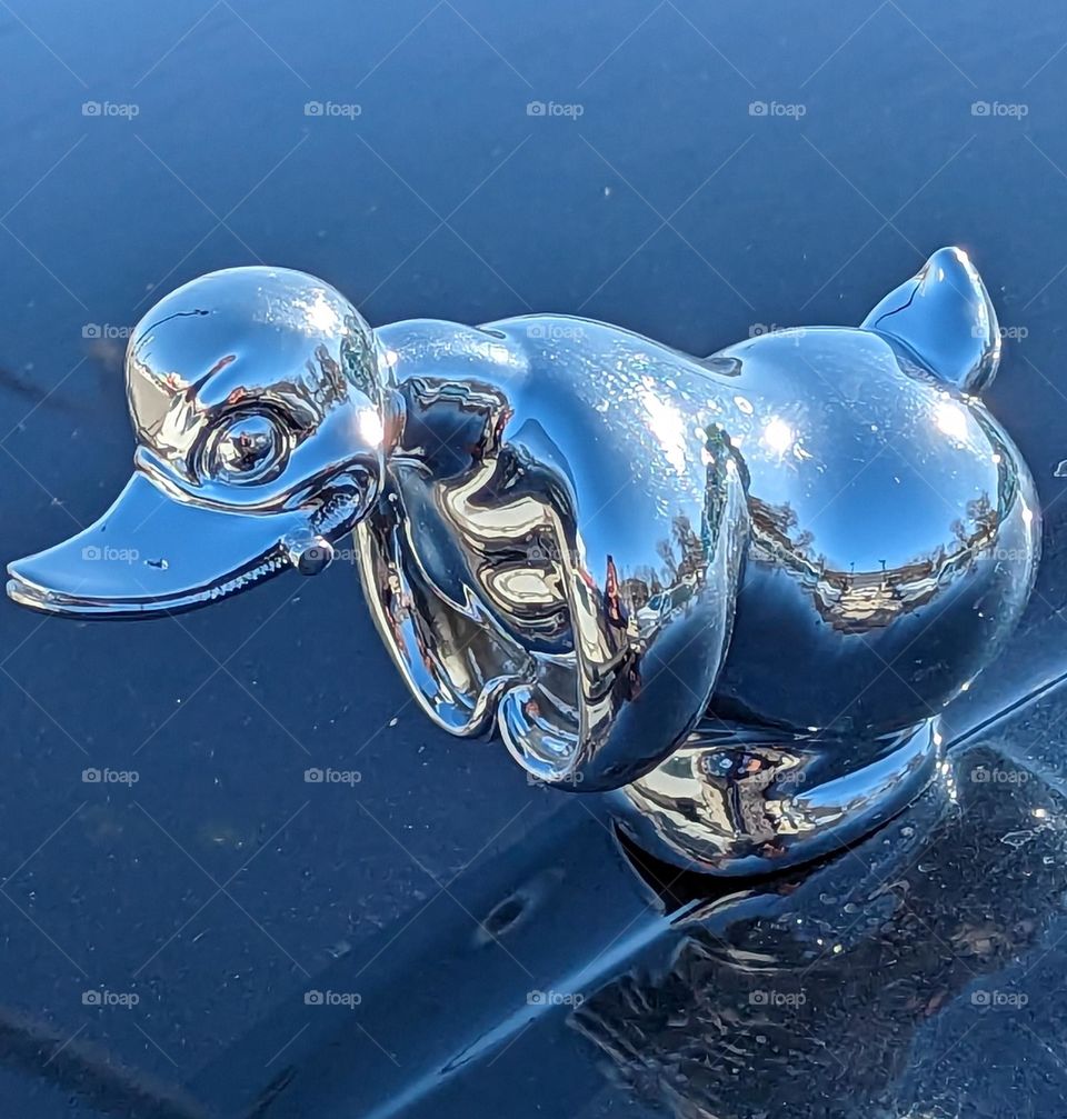 angry duck hood ornament