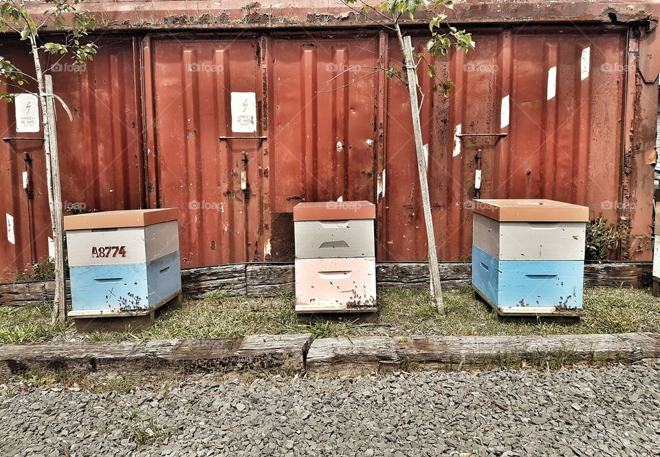 Bee Hives with rustic background