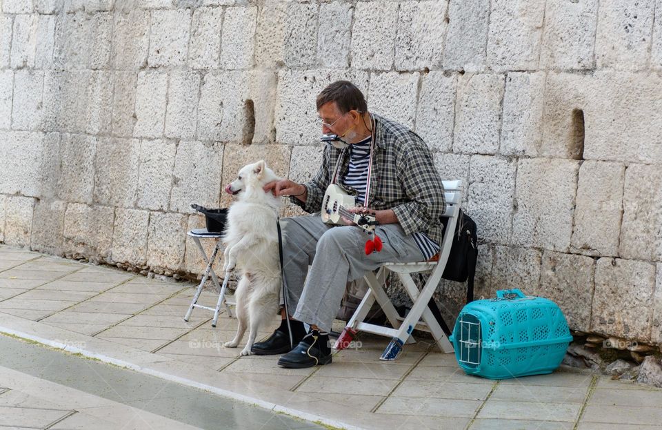Senior man with cute dog busking in street, playing an instrument
