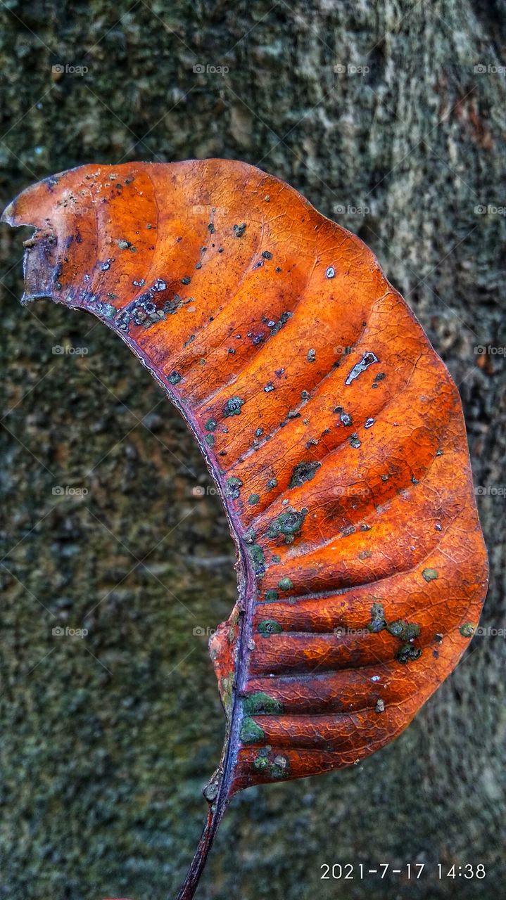 creative image orange grey