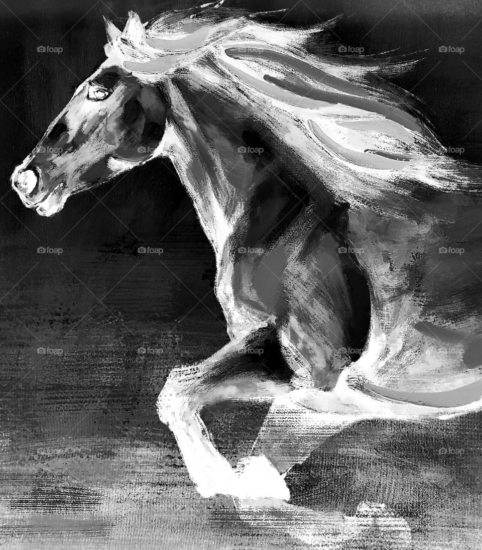 horse