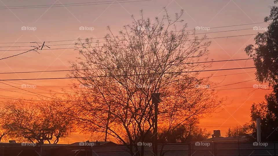Orange Sky