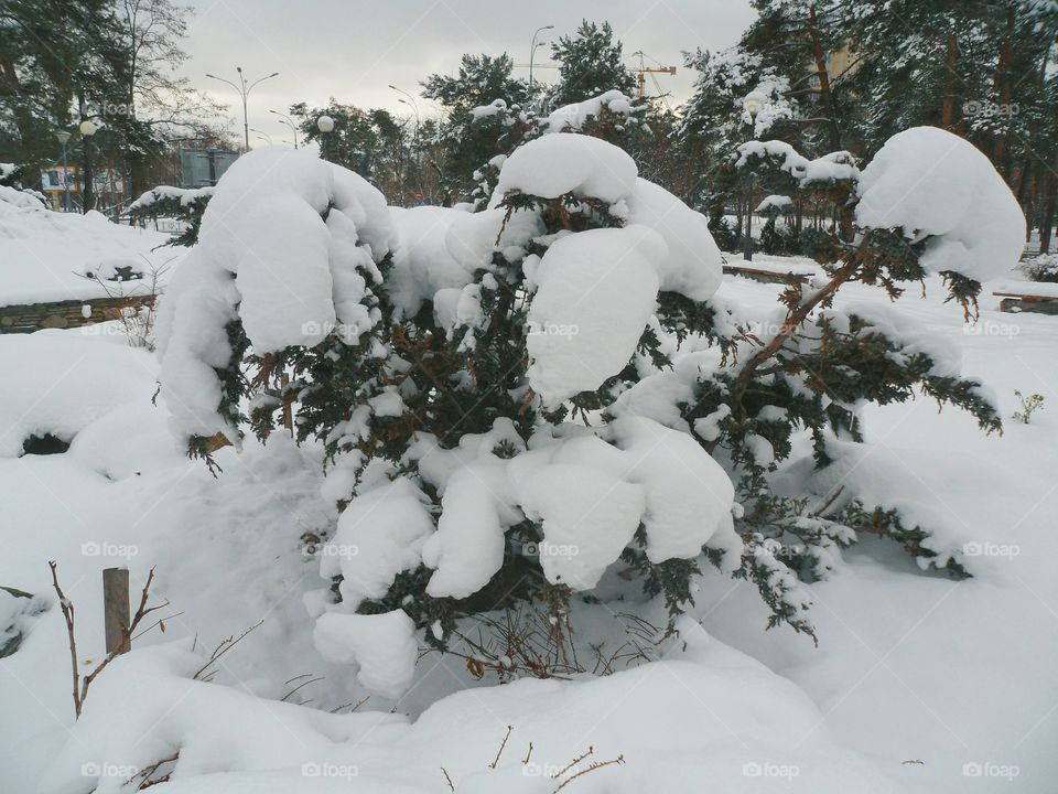 Winter in Kiev