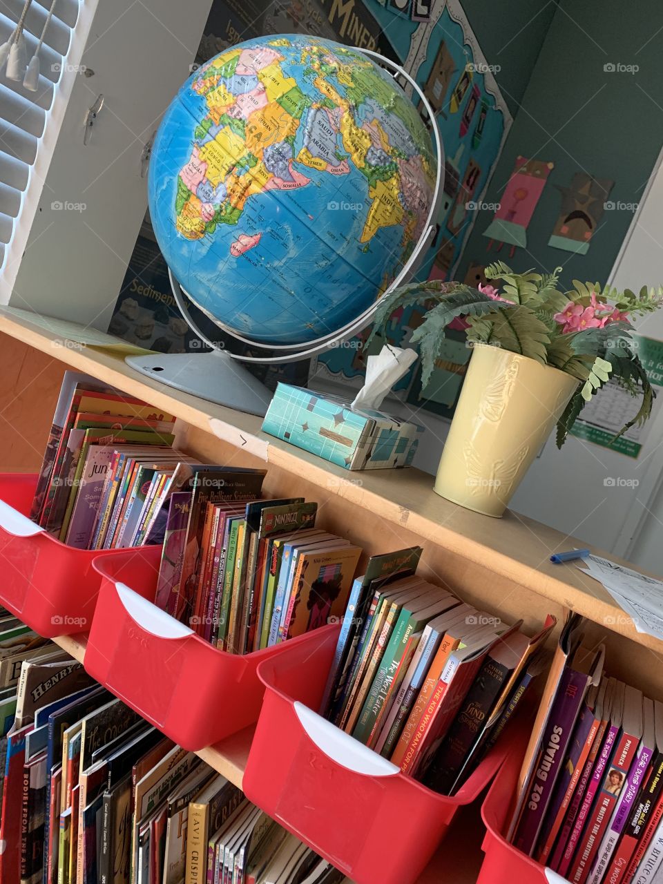 Classroom library