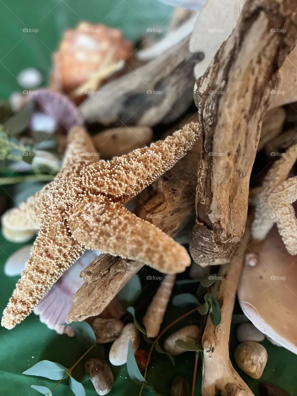 Sea Shells Table decorations