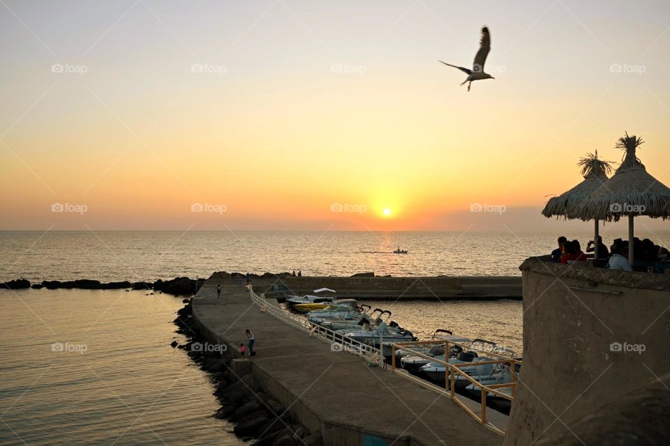 sunset at the marina