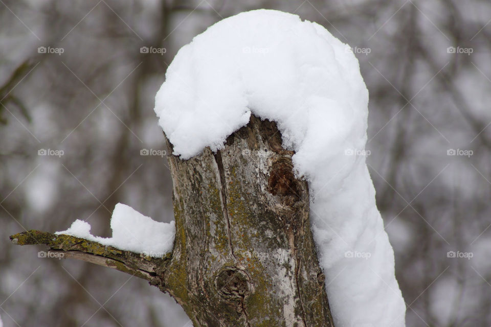 Snow capped