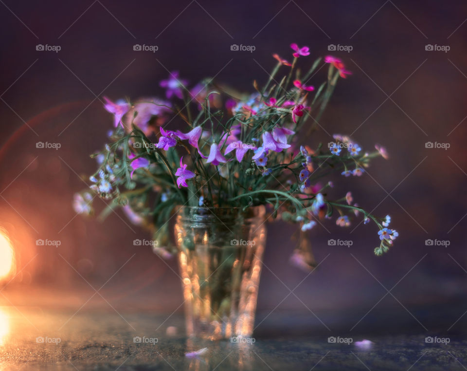 Bouquet of forest flowers in soft focus 