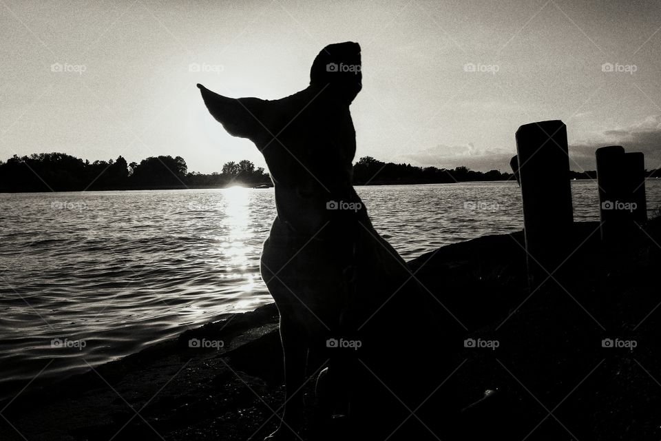 Sylvan Lake Silhouette